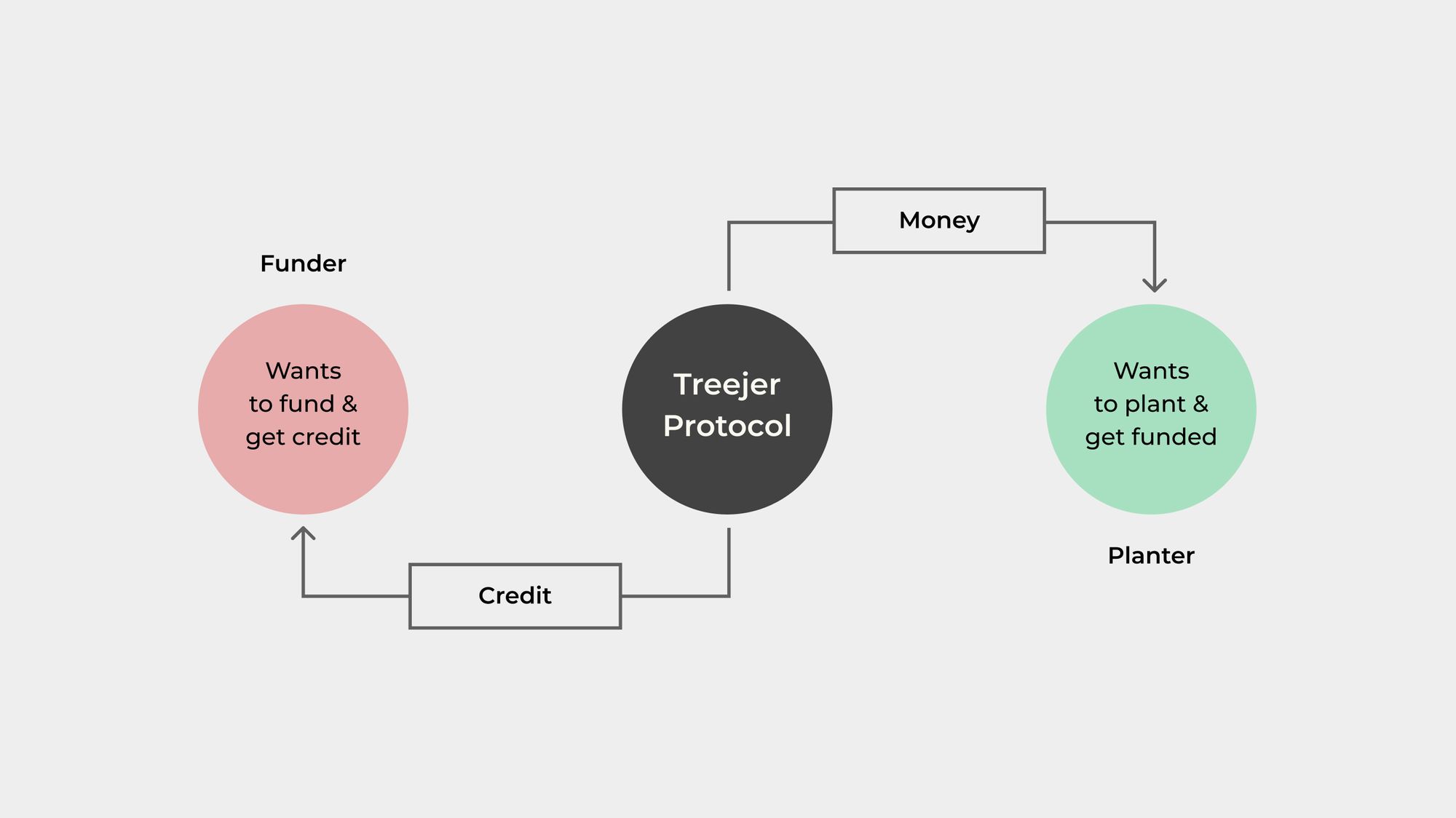 Tree Funding and Climate Credit Earning Modules on Testnet